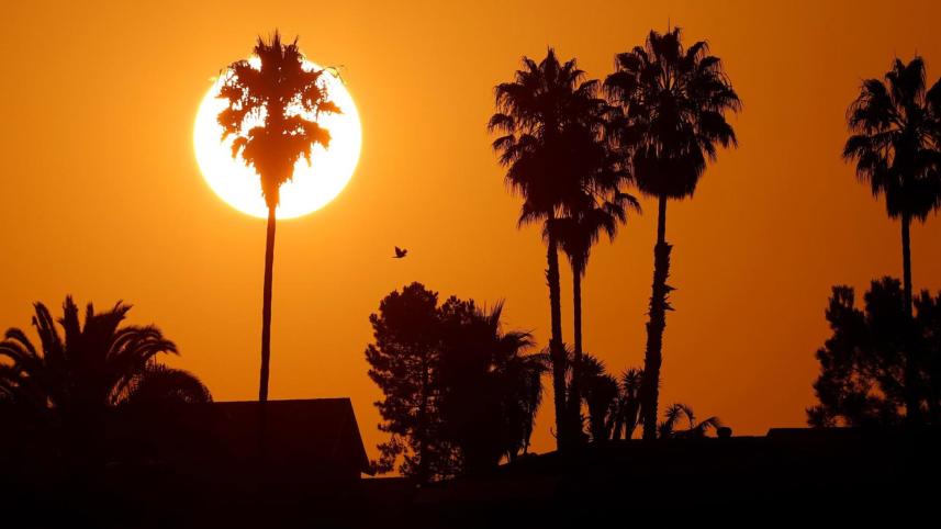 warm-nights-climate-change.jpg