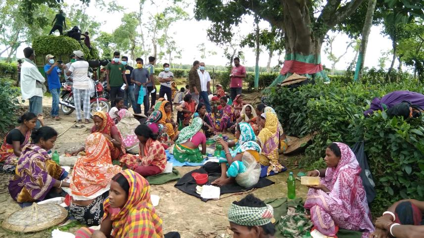 tea-workers-covid-risk.jpg