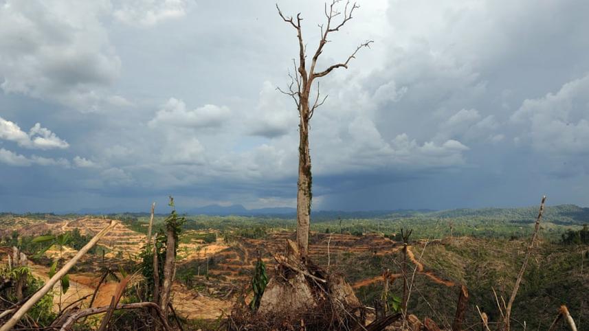 world-climate-healthcare.jpg
