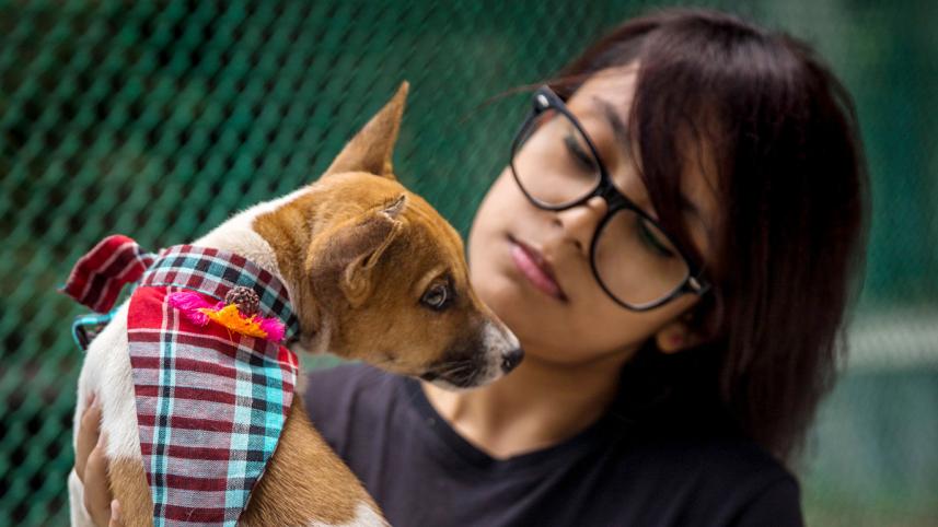 skh_dog_fashion_0237_-_copy.jpg