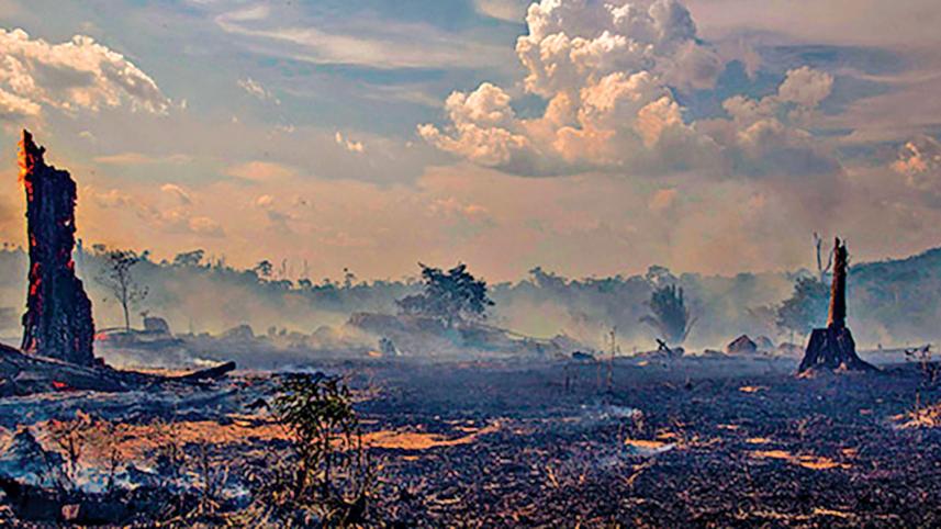 ecocide.jpg