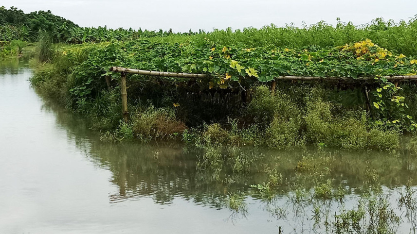 pabna_flood-web.jpg