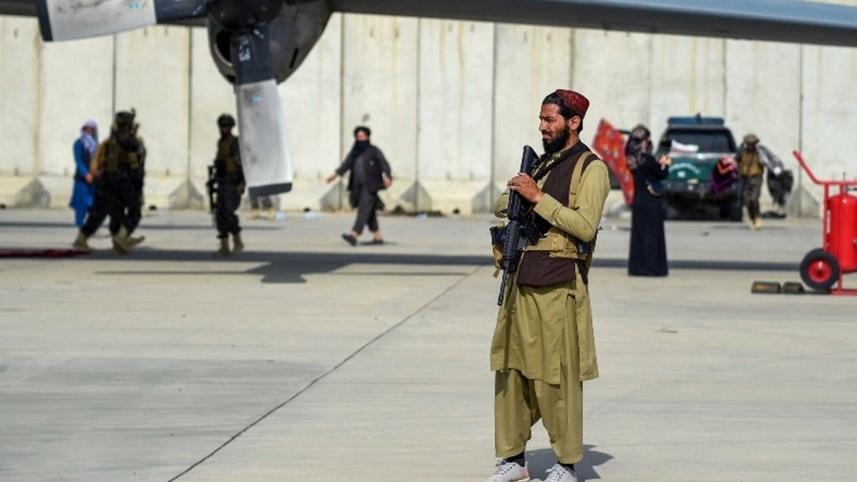 critical-afghan-freedom.jpg