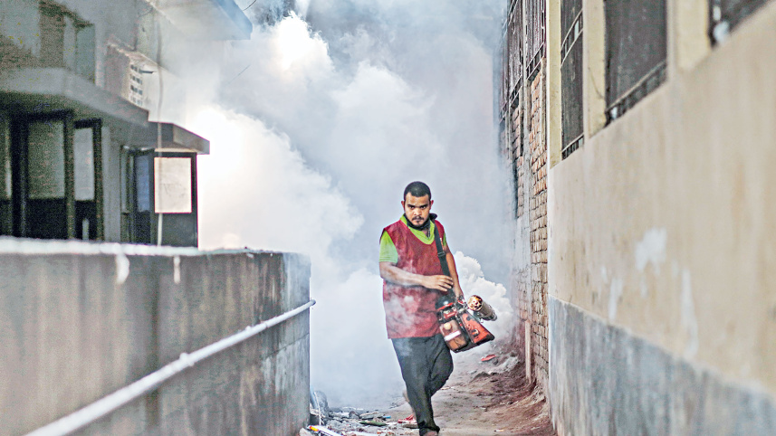 dengue-3.jpg