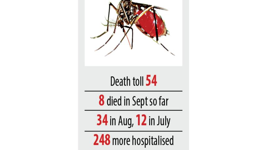 dengue.jpg