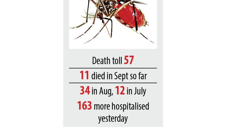 dengue.jpg