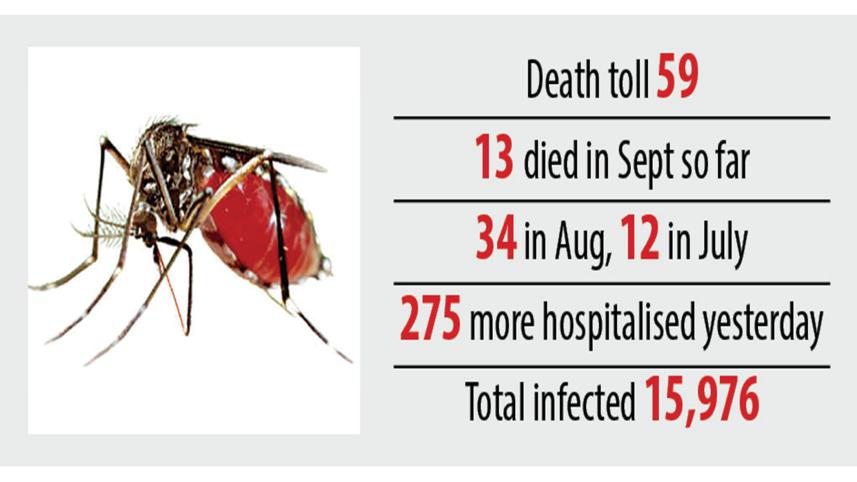 dengue.jpg