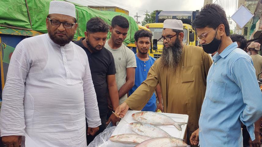 hilsa-web.jpg