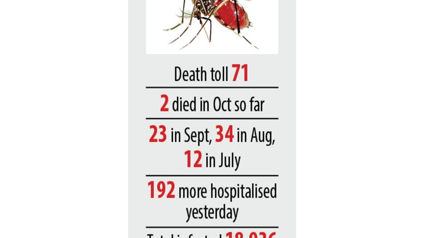 dengue.jpg