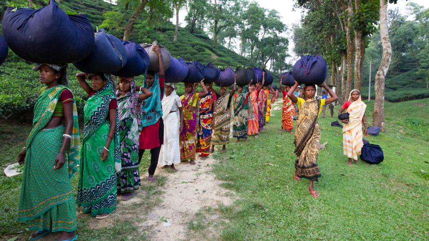 tea-workers-wages-deserve.jpg