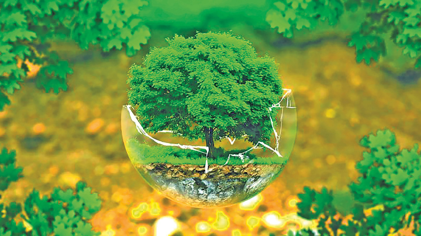 healthy-environment.jpg