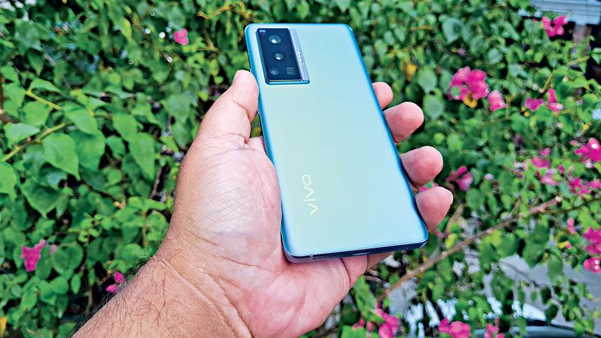 vivo1.jpg