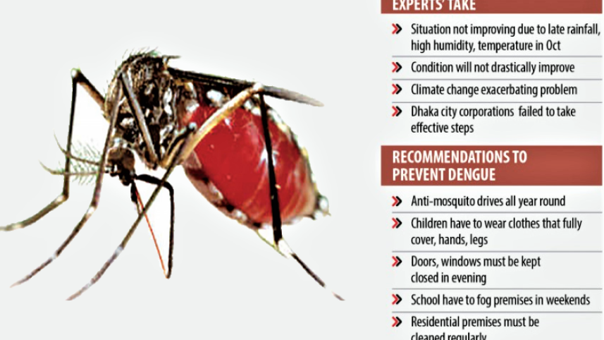 dengue.png