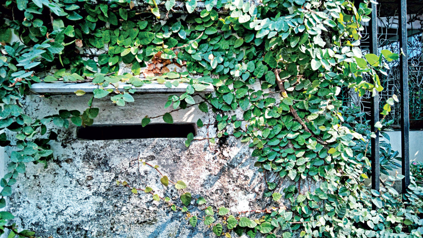 letter-box4.jpg