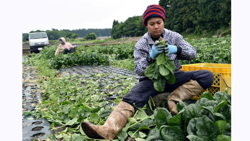 japan-looks-to-accept-more-foreigners.jpg