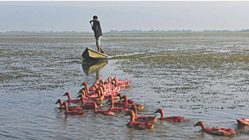 nature-based-development-bangladesh.jpg