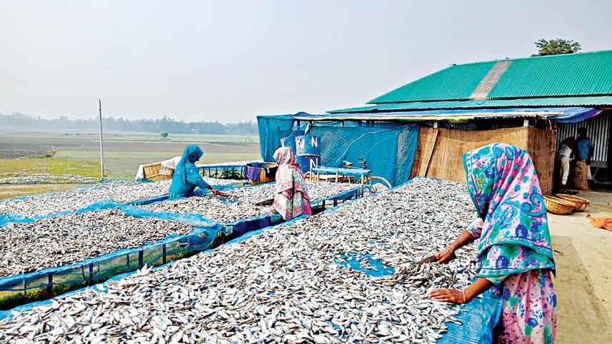mohishluti-warehouse.jpg