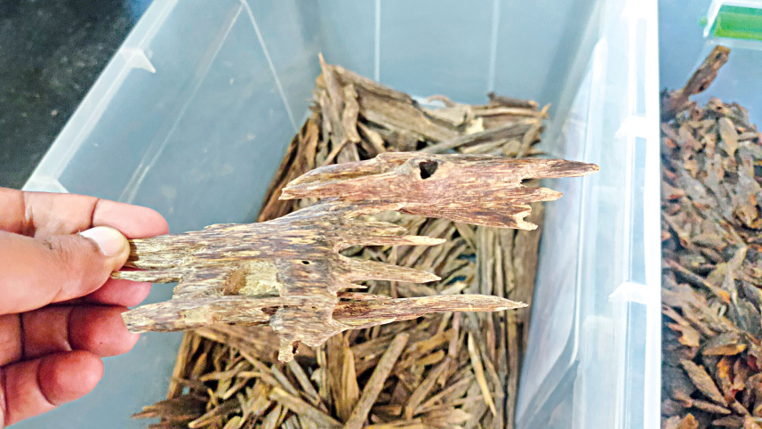 moulvibazar_perfume.jpg