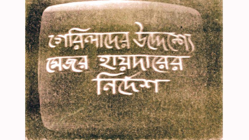 war-pic4.jpg