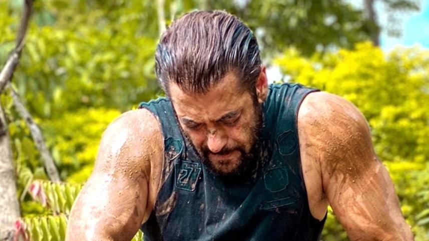salman.jpg
