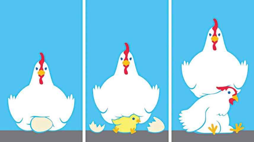 hen.jpg