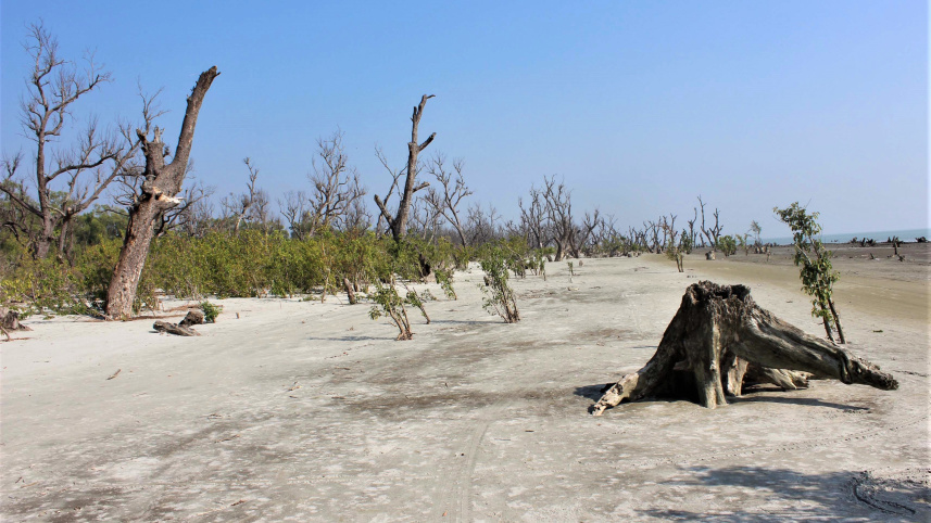 patuakhali_pic-_15_10.01.22.jpg