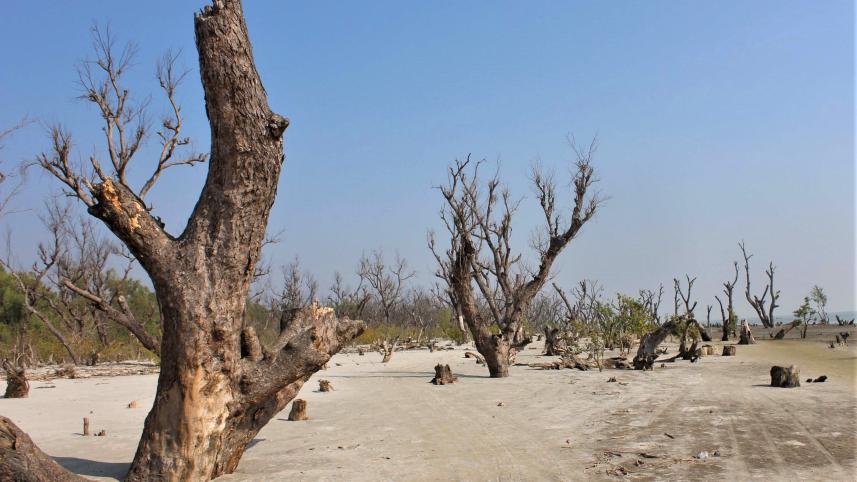 patuakhali_pic-_16_10.01.22.jpg