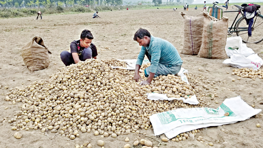 thakurgaon-2.jpg