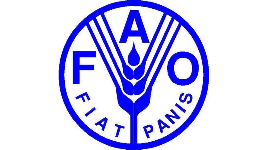 fao.jpg