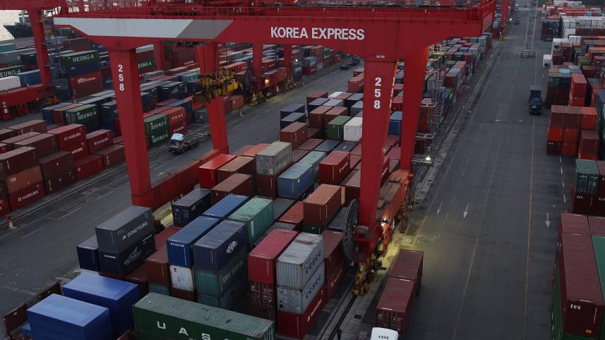 south-korea-logs.jpg