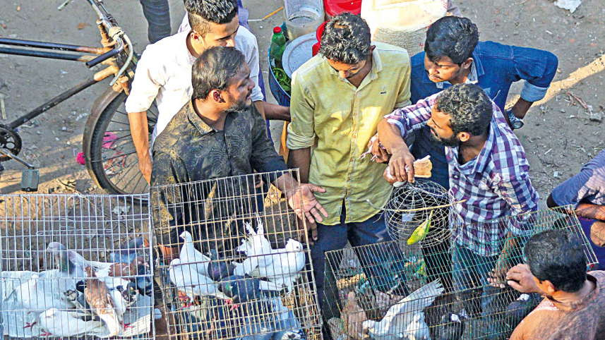 caging-6.jpg
