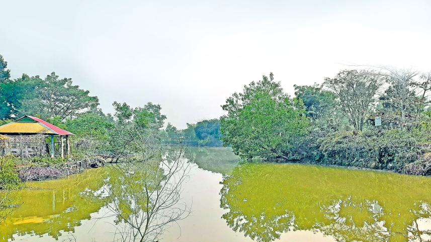 gazipur1.jpg