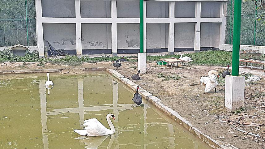 pond.jpg