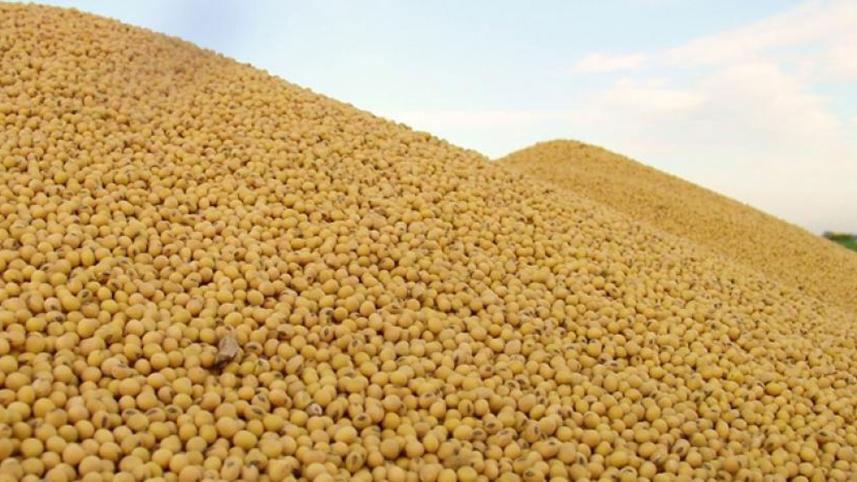 chinas-soymeal.jpg
