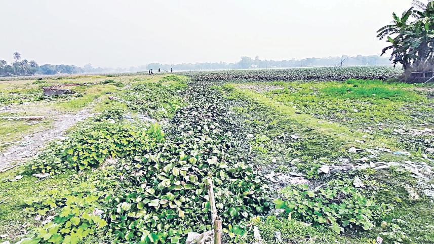 burai-river-1.jpg