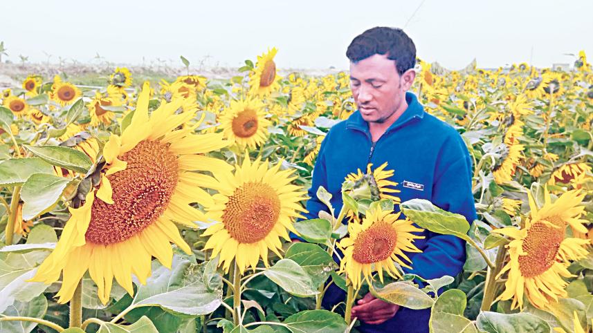 shahin-hossain.jpg