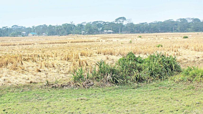 patuakhali-epz-222.jpg