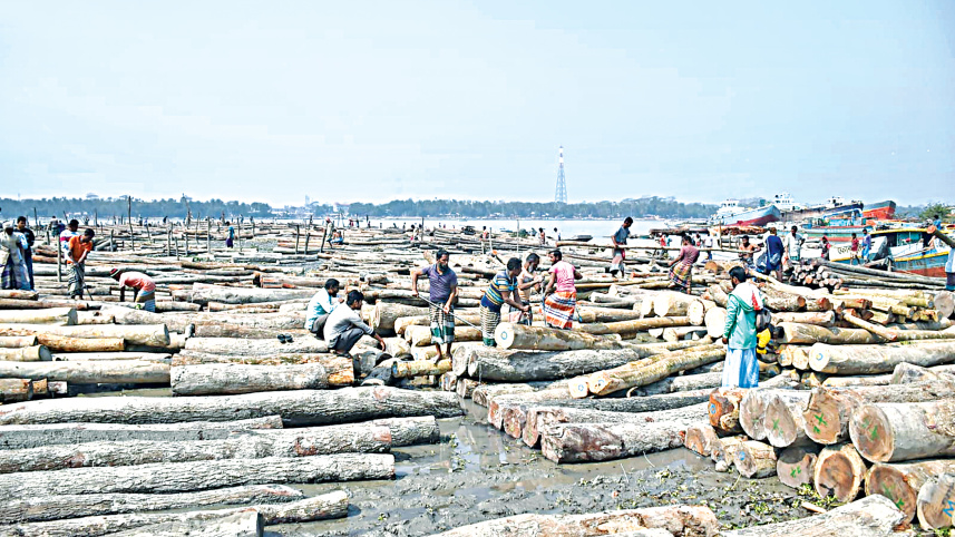 timber1.jpg