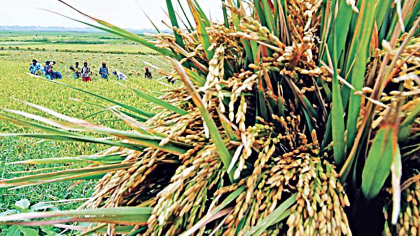 agriculture-4.0.jpg