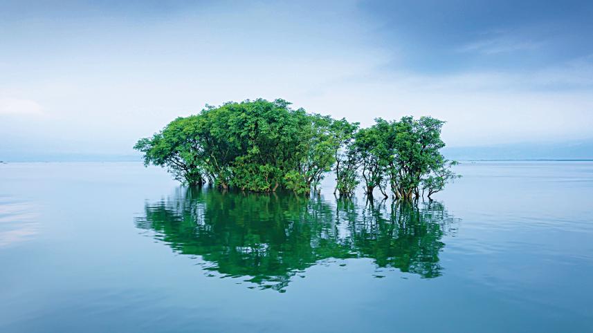 nature1.jpg