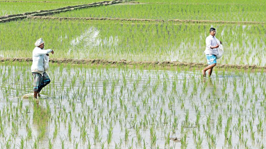 fertilisers-1.jpg