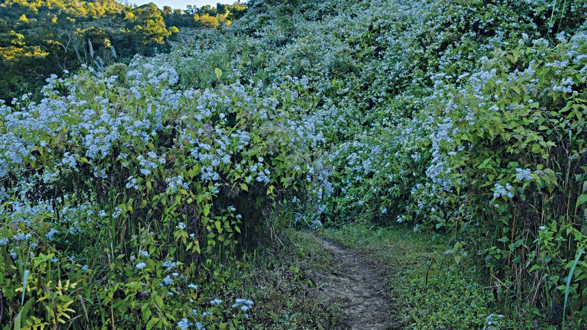 lozai-bandarban2.jpg