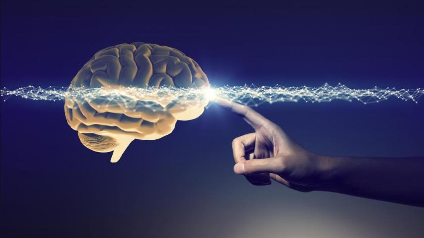 brain.jpg