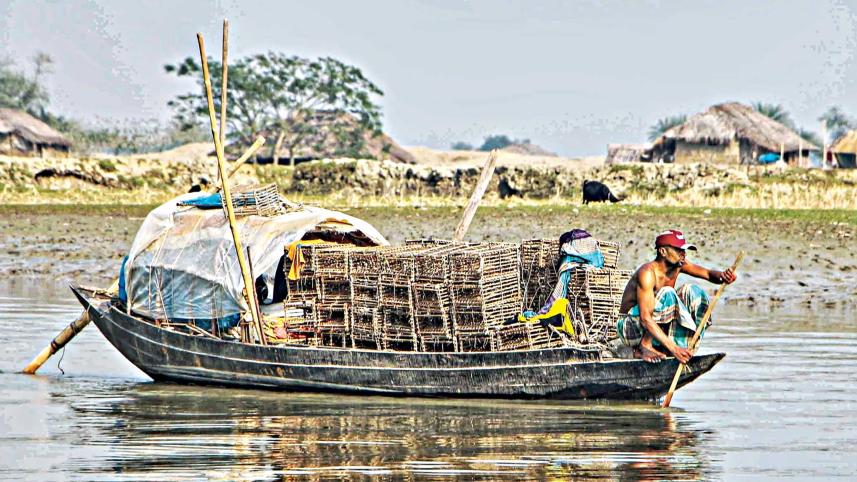 crab-hunting-1.jpg