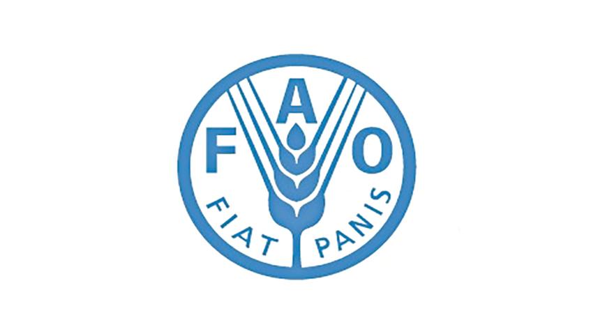 fao.jpg