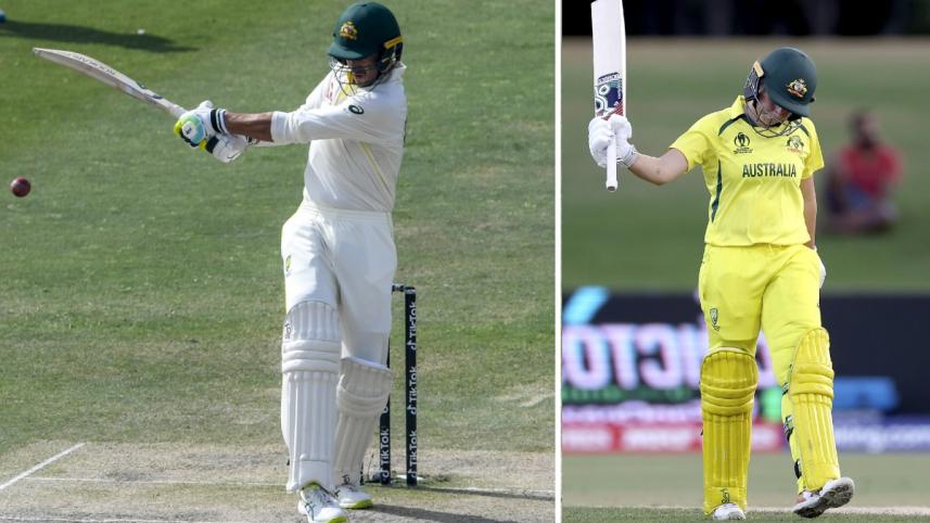 starc_healy_ds.jpg