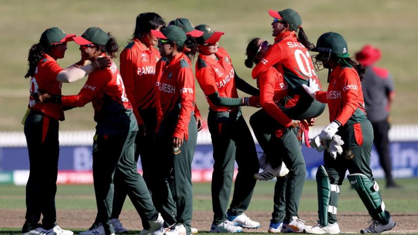 tigresses.jpg