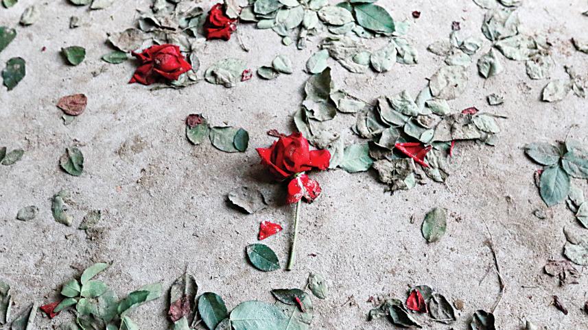 rose.jpg