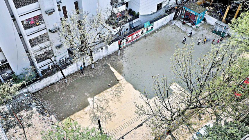 tetultola-3.jpg