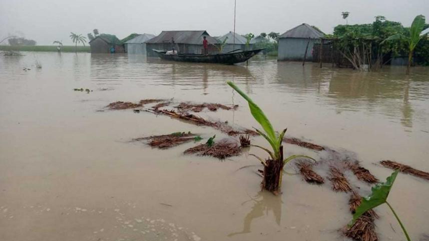 effect of flood